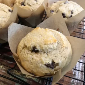 Chocolate Chip Muffin (Box of 6)