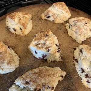 Cranberry Scone
